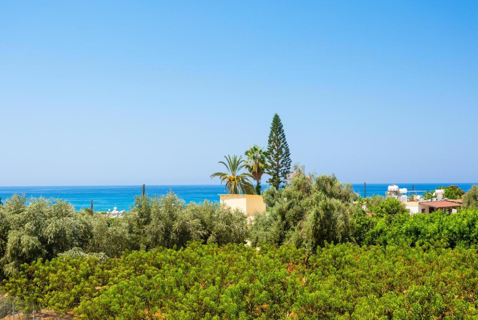 Villa Olivetta Kato Yialia Kültér fotó